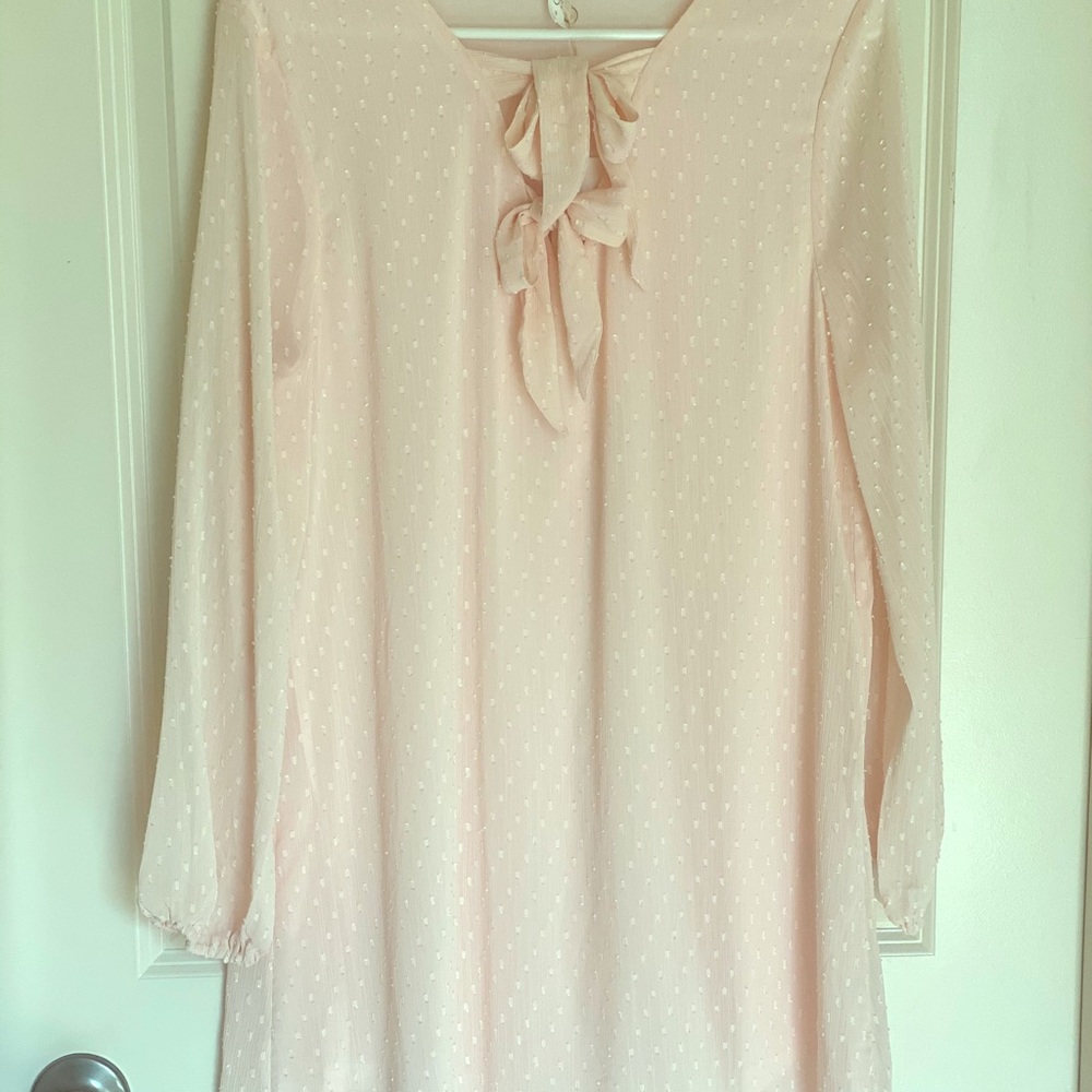 NWT PALE PINK DRESS